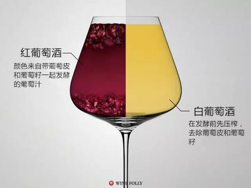 紅白葡萄酒間真正的區別